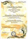 Конспект НОД "Золушка" по методике Н. А. Зайцева по счёту